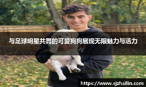 与足球明星共舞的可爱狗狗展现无限魅力与活力